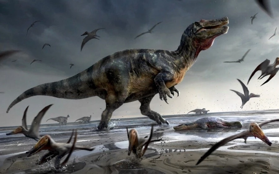 В Австралии нашли скелет эласмозавра в хорошем состоянии, умершего более 100 млн лет назад