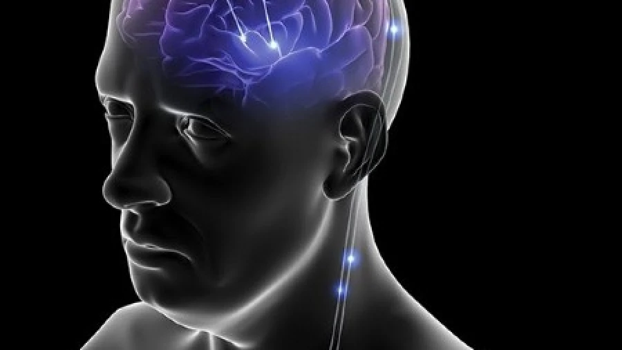 BS: стимуляция мозга улучшает способность к чтению у пациентов с макулярной дегенерацией