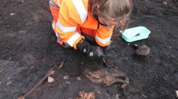 LiveScience: археологи обнаружили в Дании 5000-летние останки болотного тела