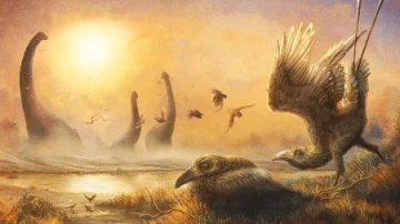 Исследователям удалось выяснить, что ранние виды динозавров отличались своим видовым разнообразием