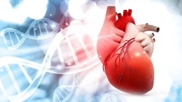 Исследование показывает, что лекарства от ревматоидного артрита снижают риск сердечных заболеваний