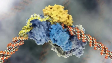 NAR: учёные выяснили, как наша ДНК может препятствовать лечению рака
