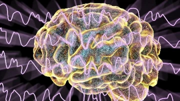 Болезнь Альцгеймера в шаге от нового метода лечения: многообещающая сенсорная стимуляция мозга
