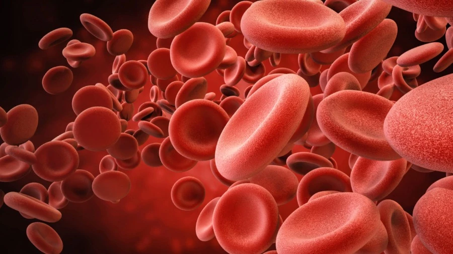 Ученые установили, что лечение заболеваний крови может активировать ген, вызывающий рак