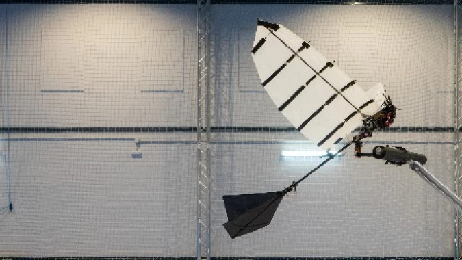 Nature: инженеры разработали крылатого робота, который может приземляться как птица