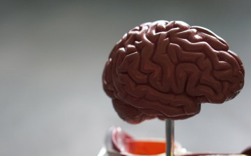 Исследователи обнаружили, что витамин D улучшает когнитивные функции мозга