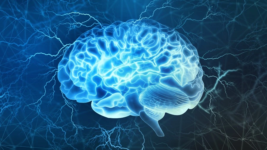 Nature: исследователи показали, как травмирующее событие изменяет мозг