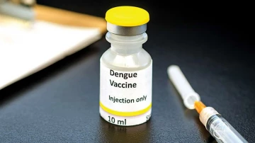 Японская вакцина против лихорадки денге получила одобрение ВОЗ