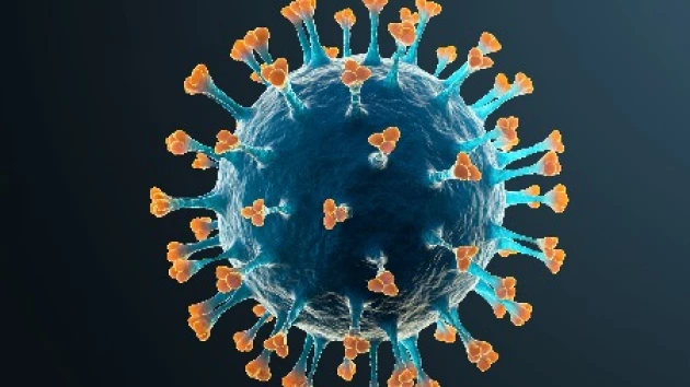 Учёные выяснили, откуда берутся новые коронавирусы