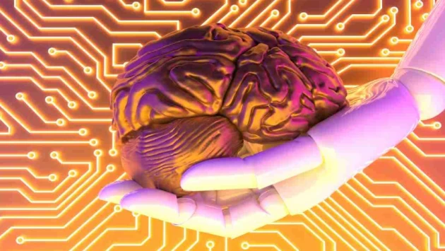 Система Brainoware ускорит создание нейросетей-органоидов, подобных мозгу человека