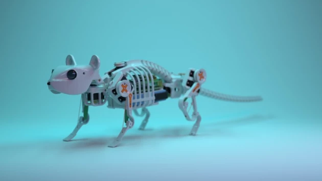 Ученые из Китая и Германии создали робота-мышь с уникальными способностями