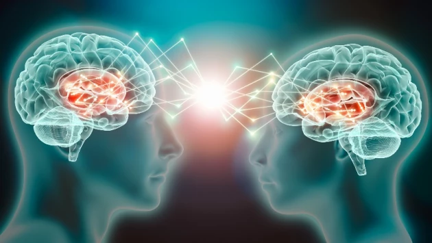 Ученые восстанавливают изображения по мозговой активности человека благодаря ИИ