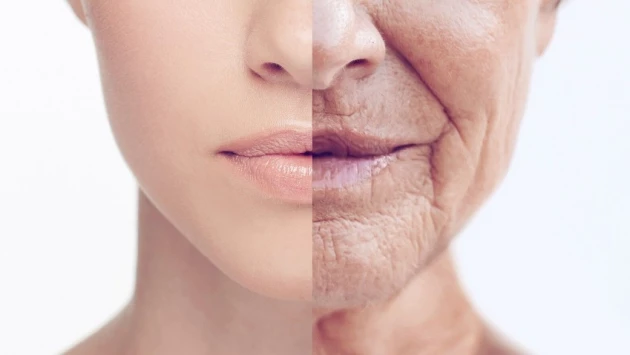 Исследователи из Перми рассказали, как избежать преждевременного старения кожи