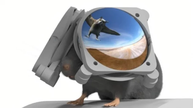 Исследователи создали VR-очки для мышей, чтобы изучить реакцию их мозга на крылатых хищников