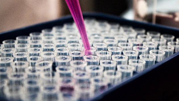 Ученые установили связь между ВПЧ и новым видом рака