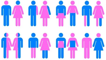 SCITECHDAILY: Ученые выявили связь между доходом и сексуальной ориентацией