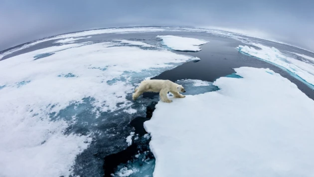Атмосферные реки являются причиной таяния льдов в Арктике