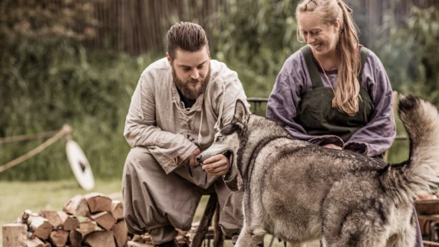 Появились научные свидетельства того, что викинги любили своих собак и брали их в походы