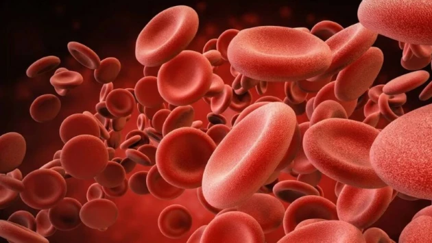 Учёные работают над легкодоступным заменителем крови для травматологических учреждений
