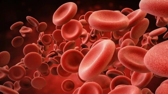 Учёные работают над легкодоступным заменителем крови для травматологических учреждений