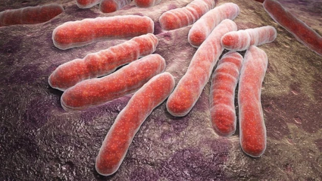 Ученые изобрели новый метод лечения туберкулеза, который может спасти миллионы жизней