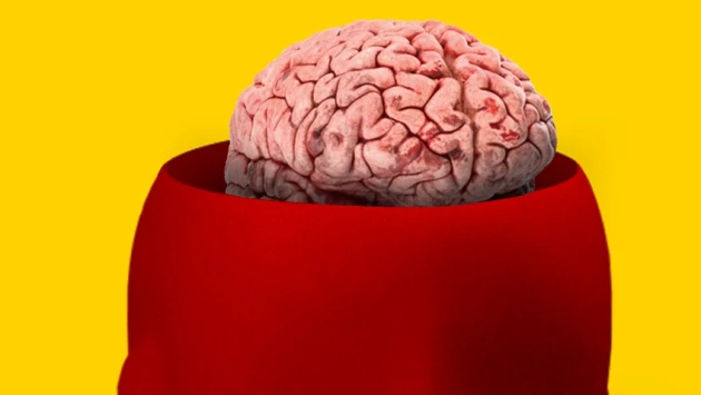 Behavioral Sciences: объем рабочей памяти зависит от умения концентрироваться