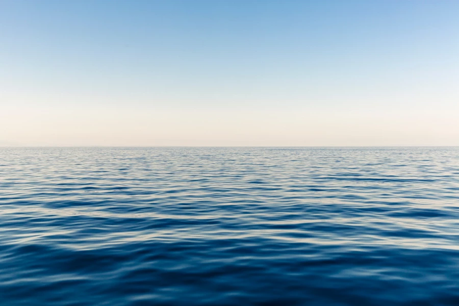 Ученые выяснили, как океан помогает уберечь планету, поглощая углекислый газ