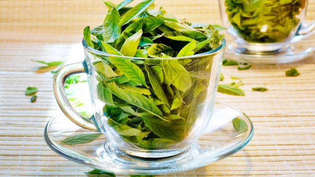 Назван сорт зеленого чая, который улучшает пищеварение