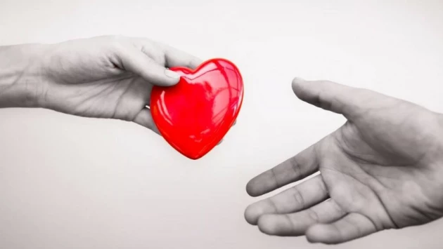 STM: новый препарат позволит продлить срок хранения донорских сердец