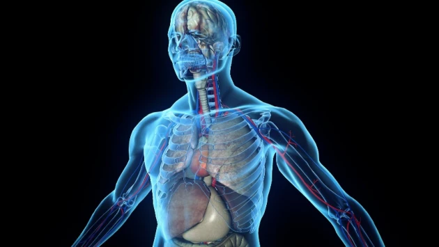 Ученые обнаружили повреждения органов у 59% пациентов с длительным COVID в анамнезе