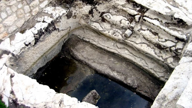 Археологи обнаружили в Освенциме ритуальную иудейскую купальню для окунаний