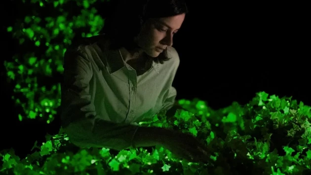 Стартап Light Bio выращивает светящиеся петунии