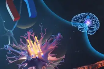 Учёные смогли дистанционно управлять клетками мозга