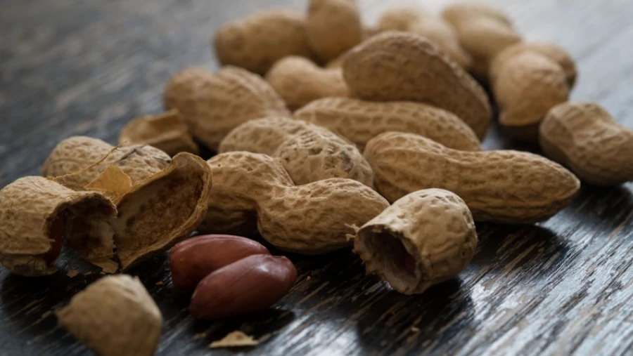 CEA: варёный арахис может помочь справиться с аллергией на этот продукт
