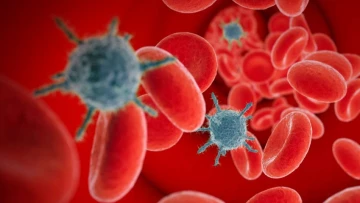 PNAS: было обнаружено, что контроль белка p32 является новым потенциальным лечением ВИЧ
