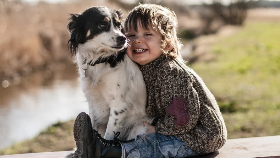 Human-Animal Interactions: дети в возрасте двух лет могут понять собаку, нуждающуюся в помощи