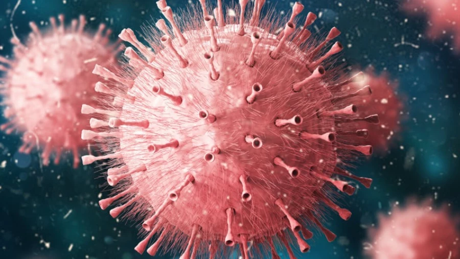 Ученые нашли решение, как создать универсальную вакцину от гриппа