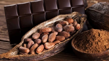 Специалисты назвали несколько полезных свойств какао для здоровья