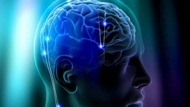 Итальянские учёные доказали, что мозг человека развивается независимо от сенсорного опыта