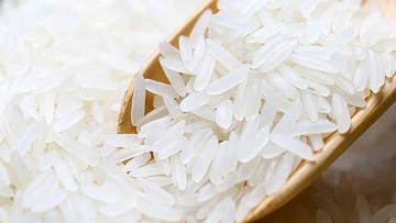 Nature Communications: научный прорыв в выращивании риса сможет накормить миллиарды людей на Земле