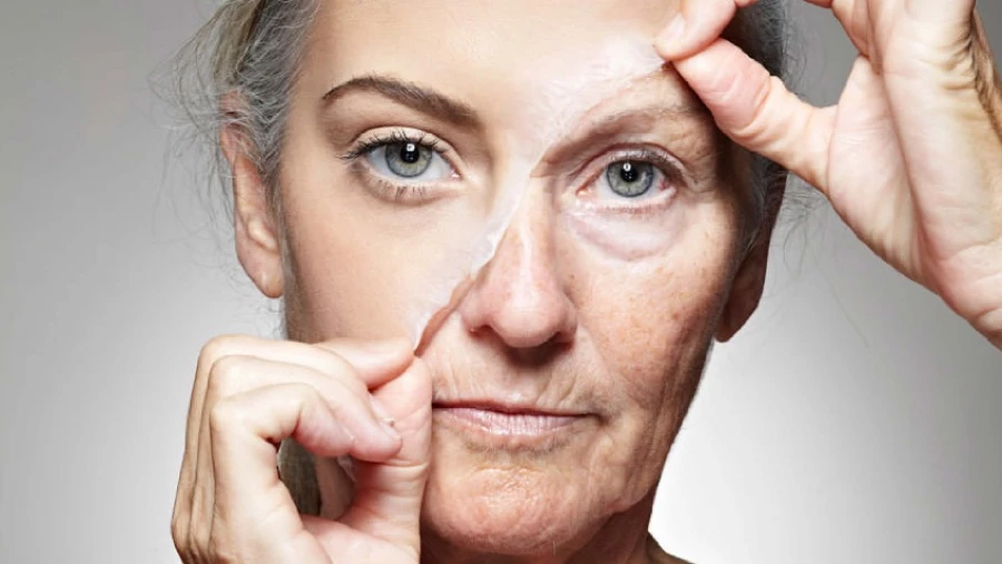 Потеря эпигенетической информации может привести к старению, а восстановление - обратить его вспять