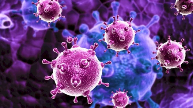 Nature Nanotechnology: новый тест может идентифицировать сразу несколько разных вирусов