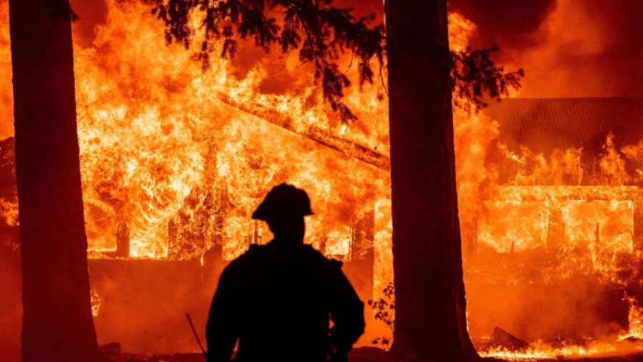 Ecosphere: количество разрушительных пожаров увеличилось, считают ученые из Калифорнии