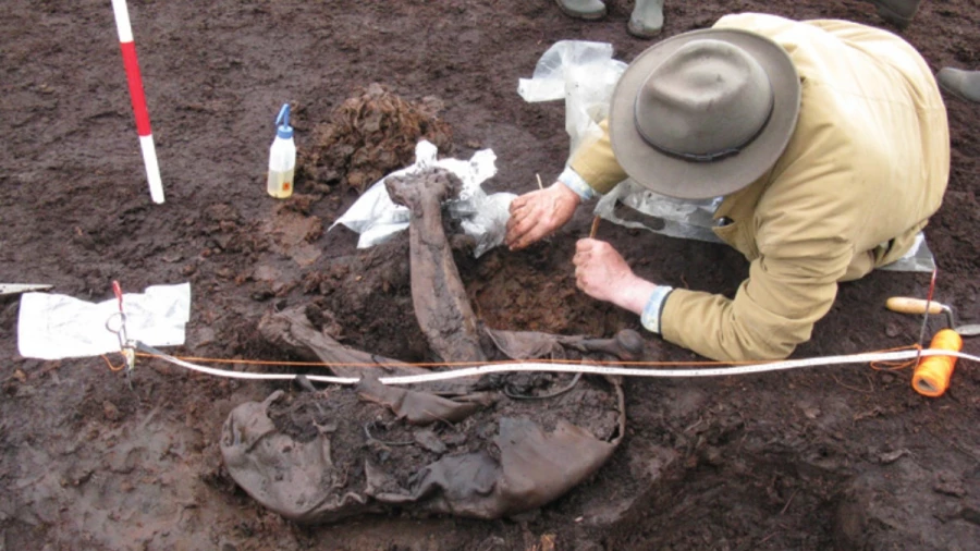 Antiquity: археологи установили, что тысячи болотных людей в Европе принесли в жертву