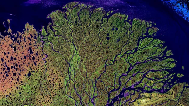 Оказалось, что не только океаны, но и реки важны для углеродного цикла