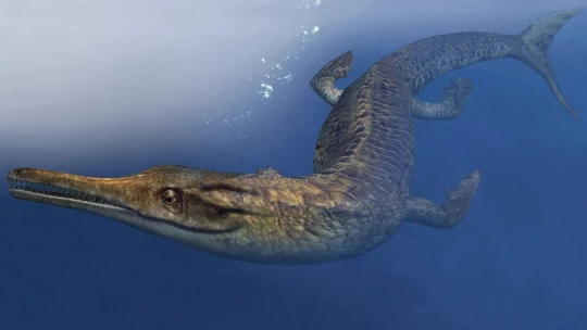 JVP: палеонтологи обнаружили древнего предка крокодила, обитавшего 185 млн лет назад