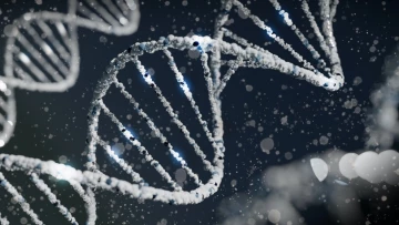 NC: Российский генетик совершил прорыв, раскрыв новый механизм хранения информации в ДНК