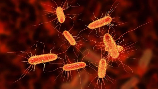 Ученые разработали метод изучения того, как бактерии общаются между собой