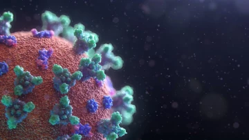 PNAS: Открыты первые питающиеся вирусами микроорганизмы
