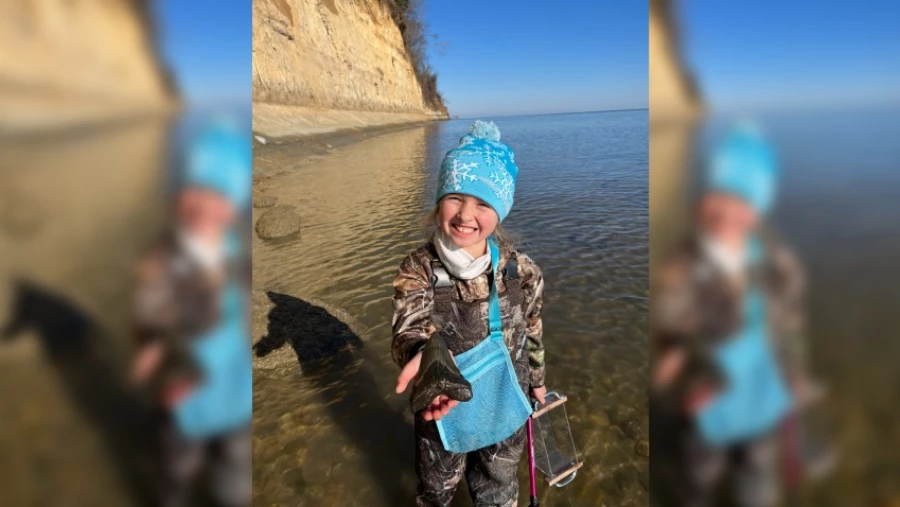 9-летняя американка нашла в Чесапикском заливе зуб огромной доисторической акулы